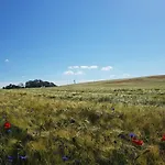 Zum Wiesengrund - アパート