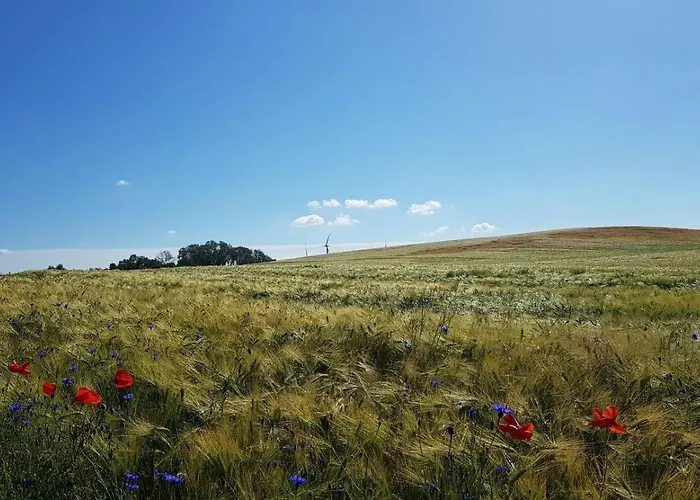 Zum Wiesengrund - Apartament